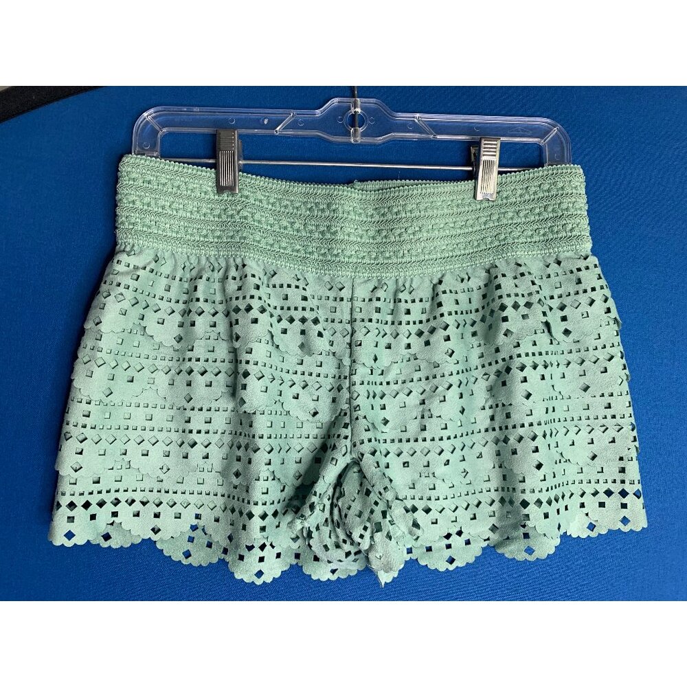 Jolt - mint suede ruffled shorts - Size S